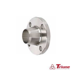 RTJ FLANGE 2” SCHEDULE 80